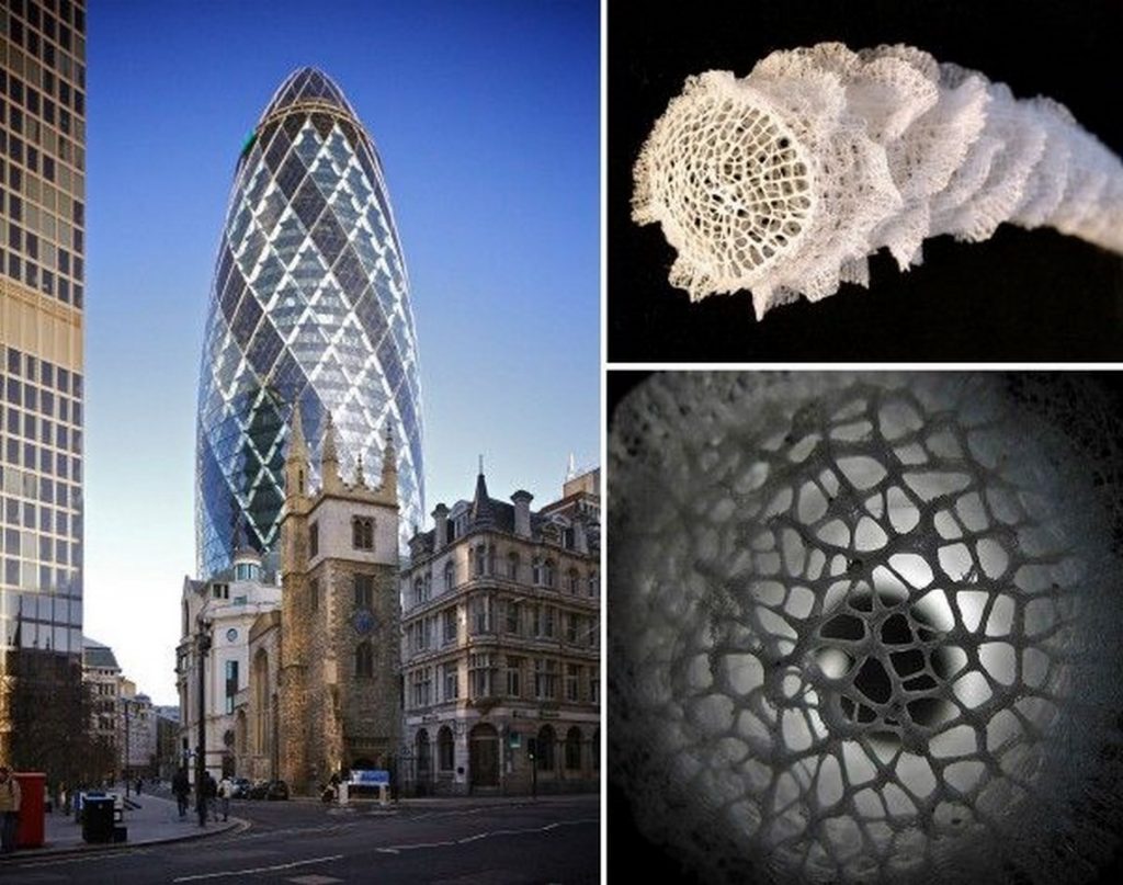 biomimicry norman foster